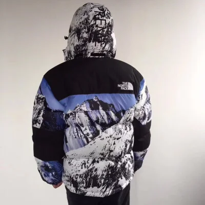 Пуховик Supreme x The North Face Mountain фото № 3 Пуховик Supreme x The North Face Mountain фото № 3