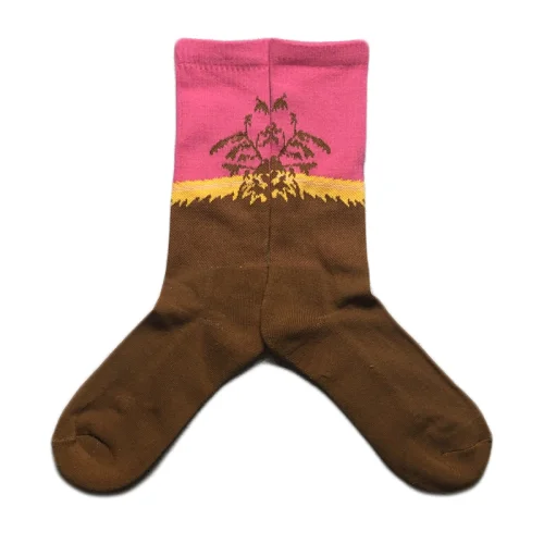 Носки Golf Wang Rainforests "Brown/Pink"