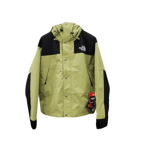 Демисезонная куртка The North Face Gore-Tex "Beige"