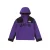 Куртка Supreme The North Face Arc Logo Mountain Parka "Purple"