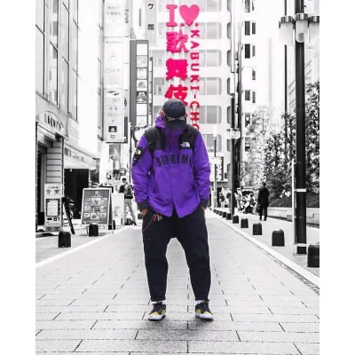 Куртка Supreme The North Face Arc Logo Mountain Parka "Purple" фото № 5