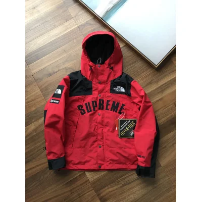 Куртка Supreme The North Face Arc Logo Mountain Parka "Red" фото № 2 Куртка Supreme The North Face Arc Logo Mountain Parka "Red" фото № 2