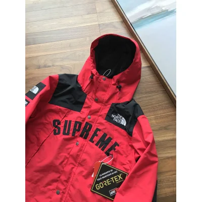 Куртка Supreme The North Face Arc Logo Mountain Parka "Red" фото № 4 Куртка Supreme The North Face Arc Logo Mountain Parka "Red" фото № 4