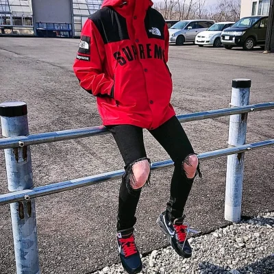 Куртка Supreme The North Face Arc Logo Mountain Parka "Red" фото № 5 Куртка Supreme The North Face Arc Logo Mountain Parka "Red" фото № 5