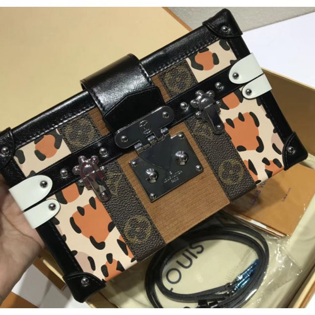 Сумка Louis Vuitton Wild Petite Malle Bag M51480 2018 "Brown" фото № 3