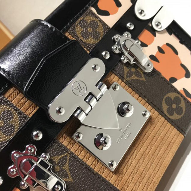 Сумка Louis Vuitton Wild Petite Malle Bag M51480 2018 "Brown" фото № 5