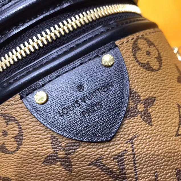 Сумка Louis Vuitton Cannes M43986 Monogram Canvas "Brown" фото № 7