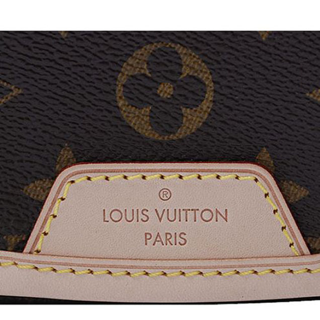 Сумка Louis Vuitton M40473 Menilmontant MM Crossbody Bag Monogram Canvas "Brown" фото № 7