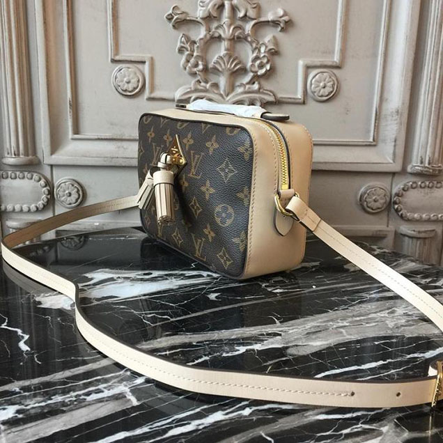 Сумка Louis Vuitton Monogram Canvas Saintonge M43559 "Brown" фото № 3