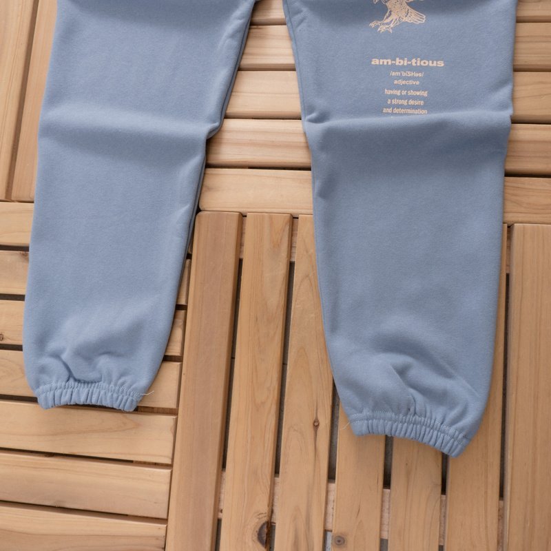 Штаны Youngla Logo And Eagle Print "Blue" фото № 3