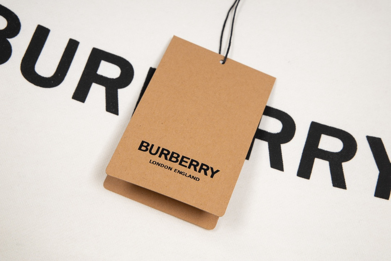 Свитшот Burberry Baggy "White" фото № 2