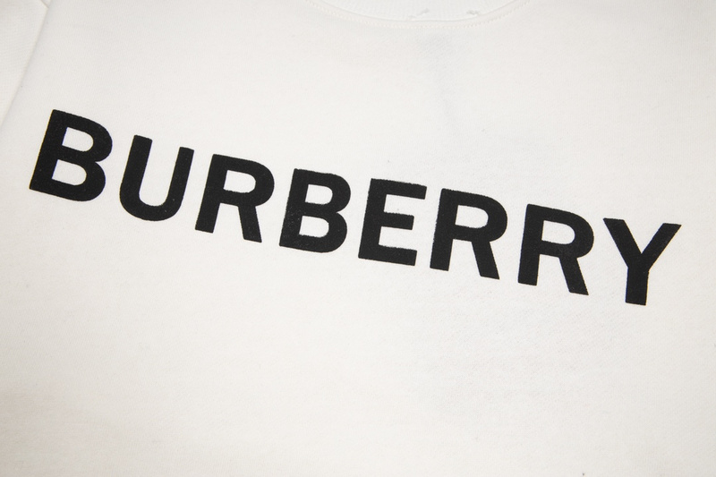 Свитшот Burberry Baggy "White" фото № 3