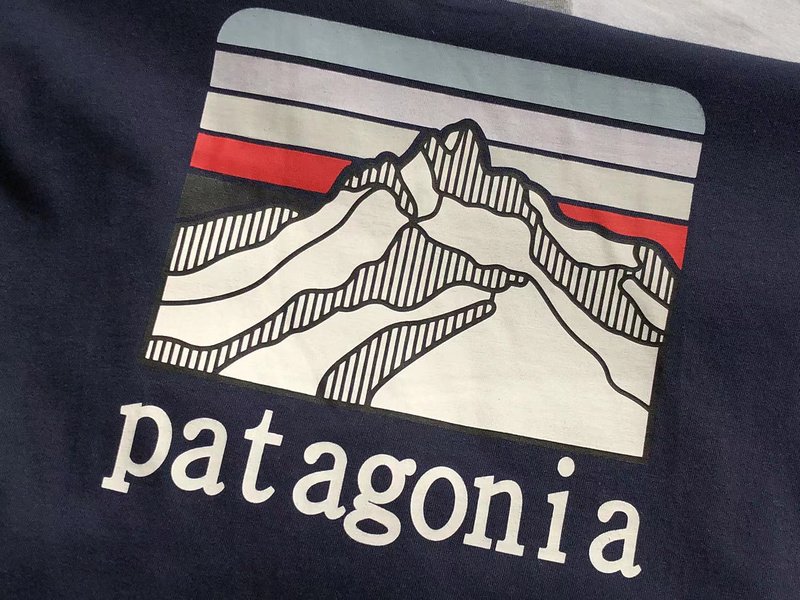 Лонгслив Patagonia Mountain Landscape Back Print "Blue" фото № 5