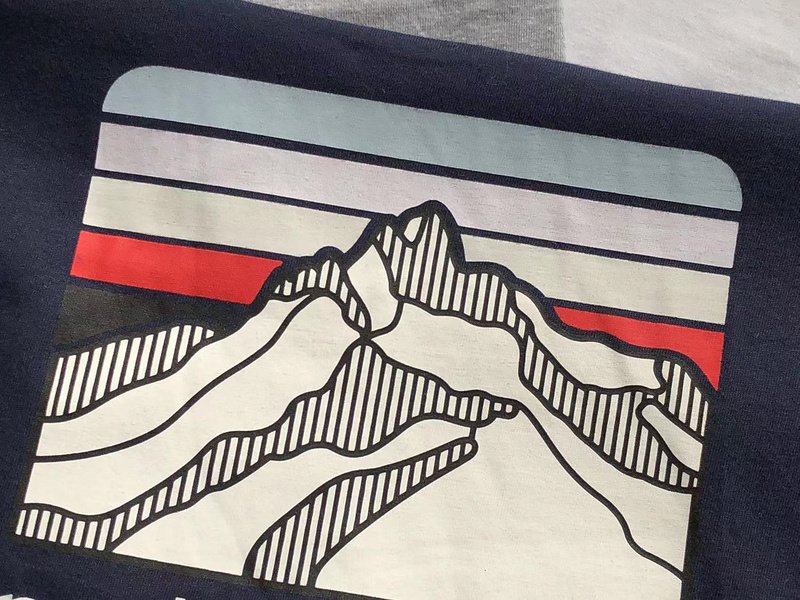 Лонгслив Patagonia Mountain Landscape Back Print "Blue" фото № 6