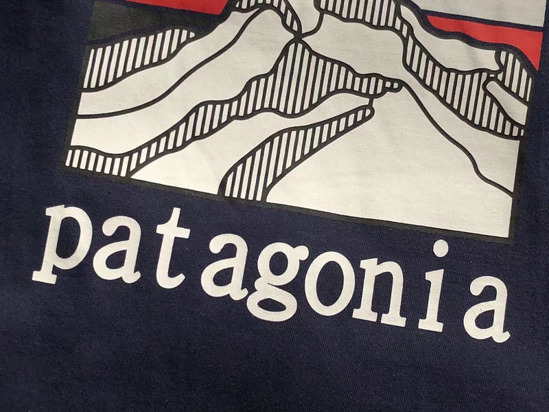 Лонгслив Patagonia Mountain Landscape Back Print "Blue" фото № 7