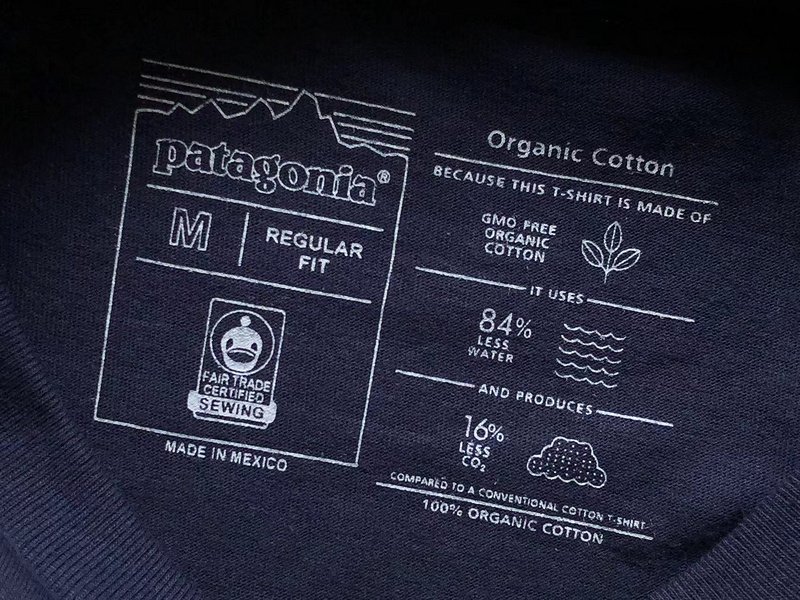 Лонгслив Patagonia Mountain Landscape Back Print "Blue" фото № 9