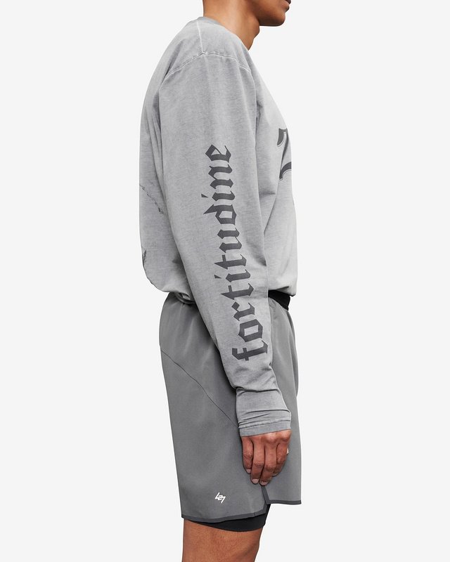 Лонгслив Represent Sleeves With Inscription "Gray" фото № 4