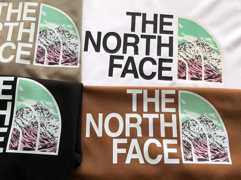 Футболка The North Face Logo With Small Mountain Print "White" фото № 3