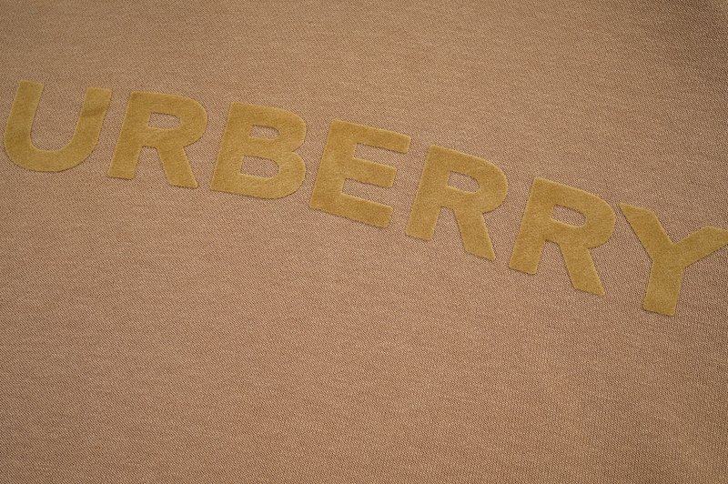 Худи Burberry Printed Logo On The Front "Brown" фото № 5