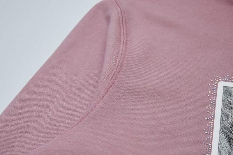 Худи Christian Dior Central Big Frontside Logo Dior "Pink" фото № 5