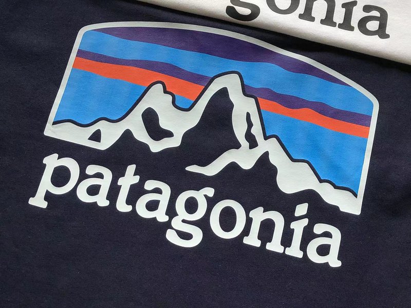 Лонгслив Patagonia Mountain View Back Print "Blue" фото № 3