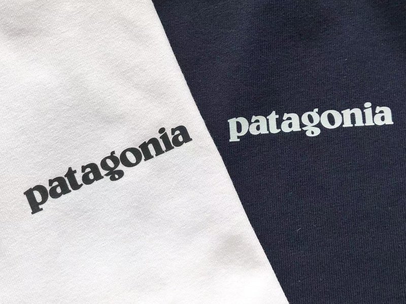 Лонгслив Patagonia Mountain View Back Print "Blue" фото № 7