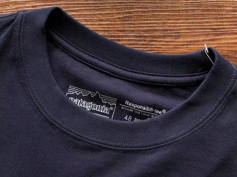 Лонгслив Patagonia Mountain View Back Print "Blue" фото № 4