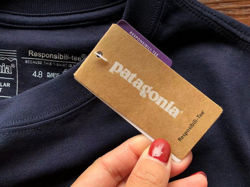 Лонгслив Patagonia Mountain View Back Print "Blue" фото № 6