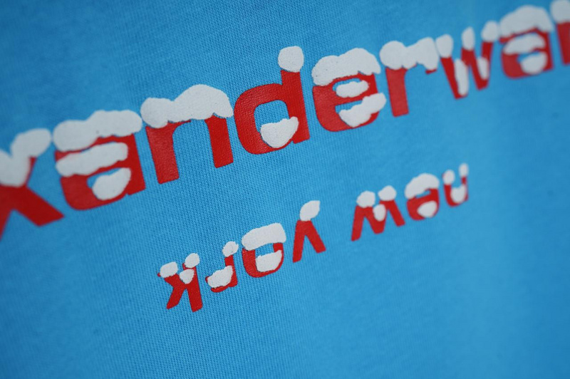 Футболка Alexander Wang Logo In The Snow "Blue" фото № 3