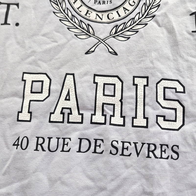 Футболка Balenciaga Royal Coat Of Arms Large "White" фото № 6