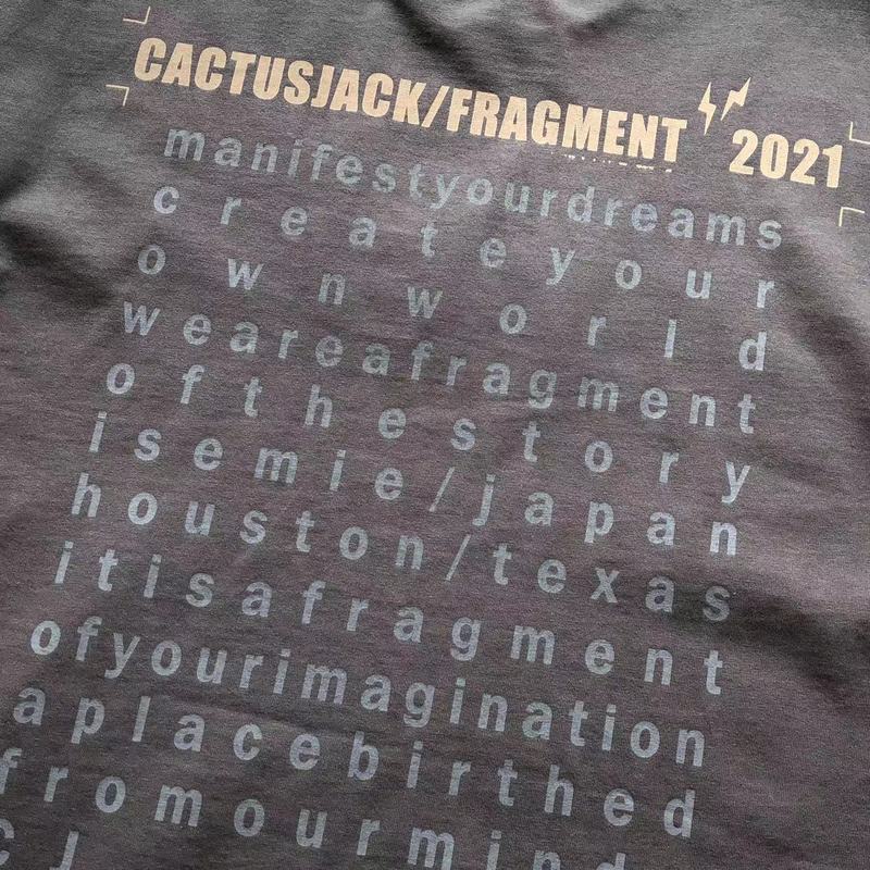 Футболка Cactus Jack Merch Flying Bird And Circle Front Print "Gray" фото № 9