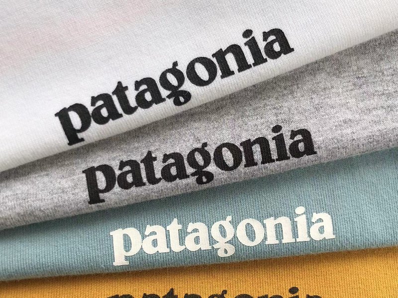 Футболка Patagonia Mountain View And Lettering Save Our Home Planet "White" фото № 5