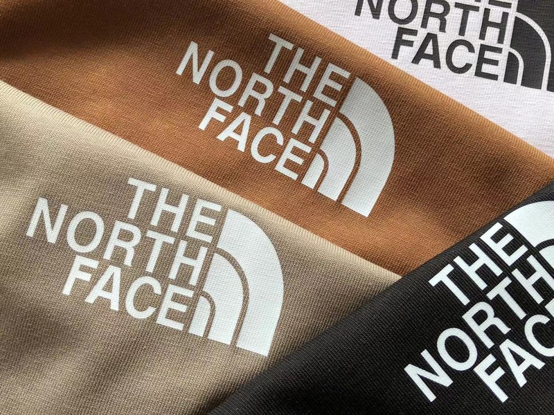 Футболка The North Face Logo With Small Mountain Print "Brown" фото № 3