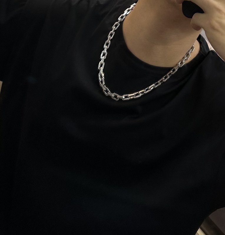 Цепочка Louis Vuitton Bonded Ovals With Logo Inscription "Silver" фото № 8