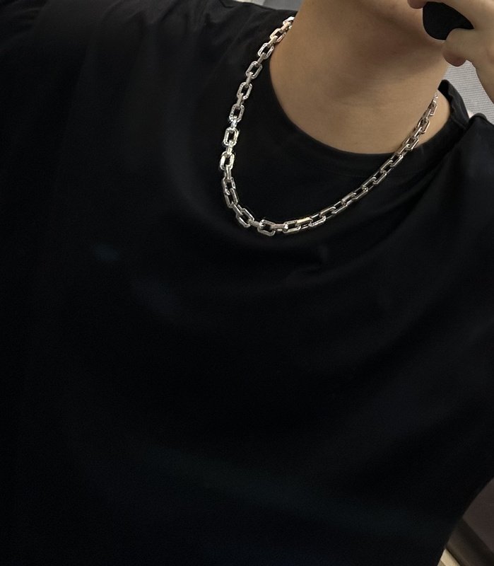 Цепочка Louis Vuitton Bonded Ovals With Logo Inscription "Silver" фото № 9