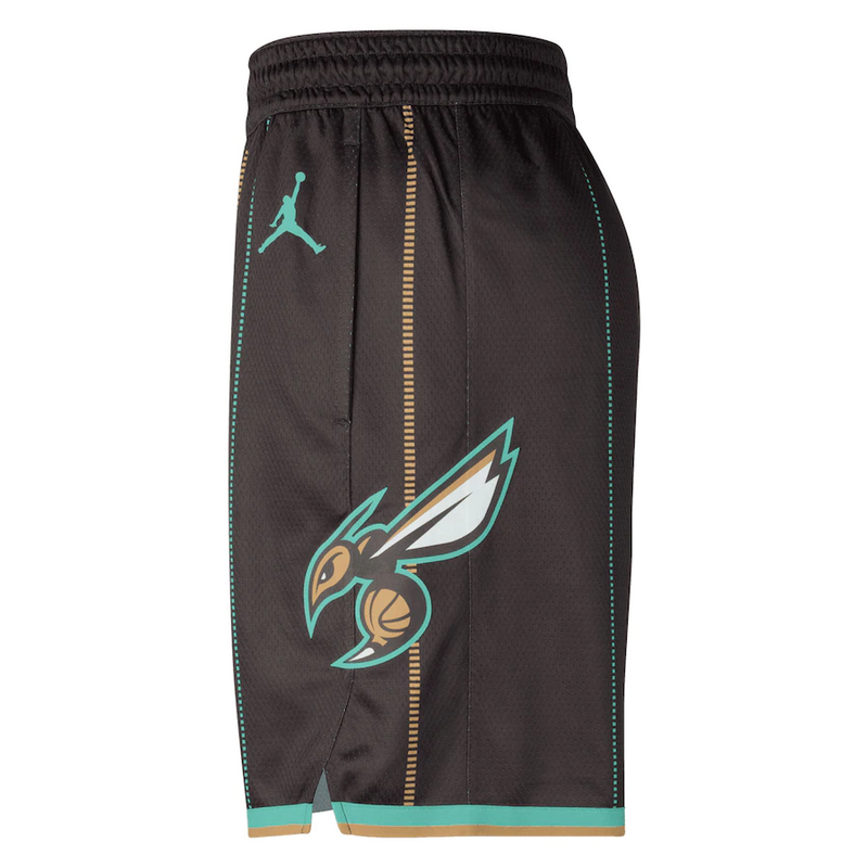 Баскетбольные Шорты NBA Charlotte Hornets 2023 "Brown" фото № 2