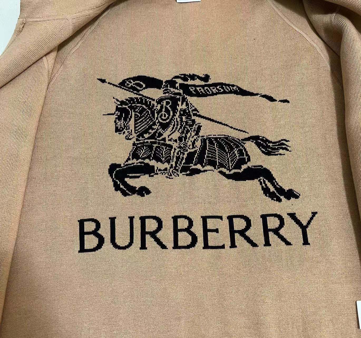 Худи Burberry Backside Black Warrior On The Horse Checked "Brown" фото № 2