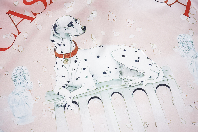 Рубашка Casablanca Posing Dalmatian "White/Pink" фото № 4