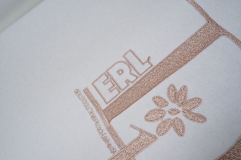 Худи Logo Dior Erl "White" фото № 3