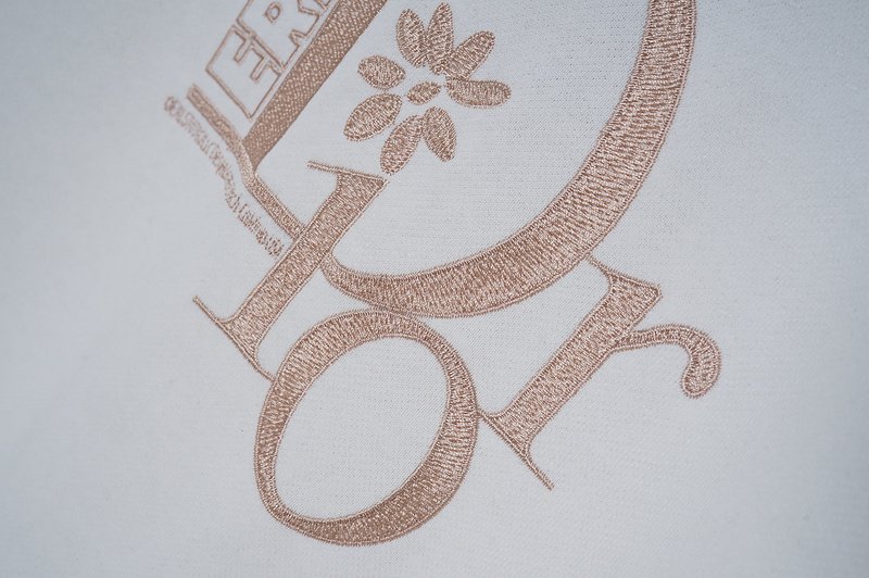 Худи Logo Dior Erl "White" фото № 5