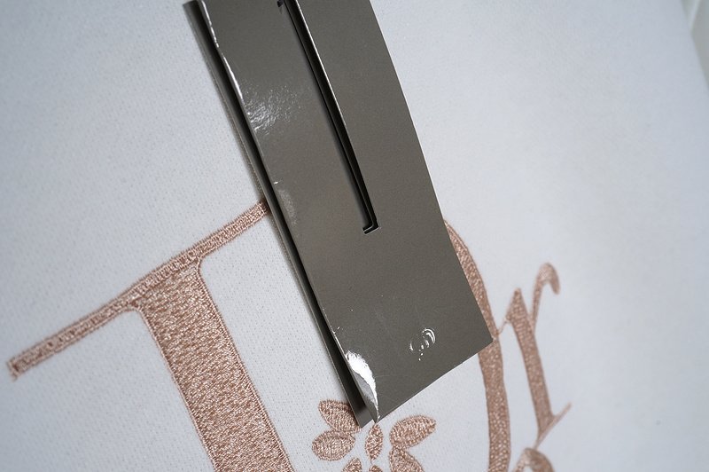 Худи Logo Dior Erl "White" фото № 6