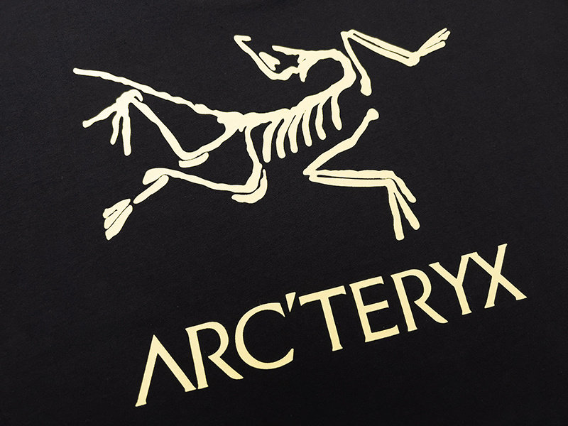 Футболка Arcteryx With Emblem "Black" фото № 3