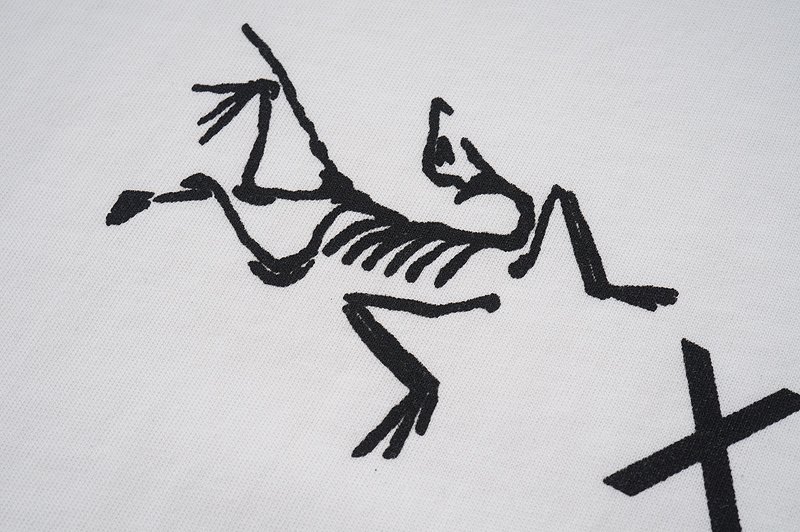 Футболка Balenciaga X Arcteryx Survival Of The Fittest "White" фото № 4