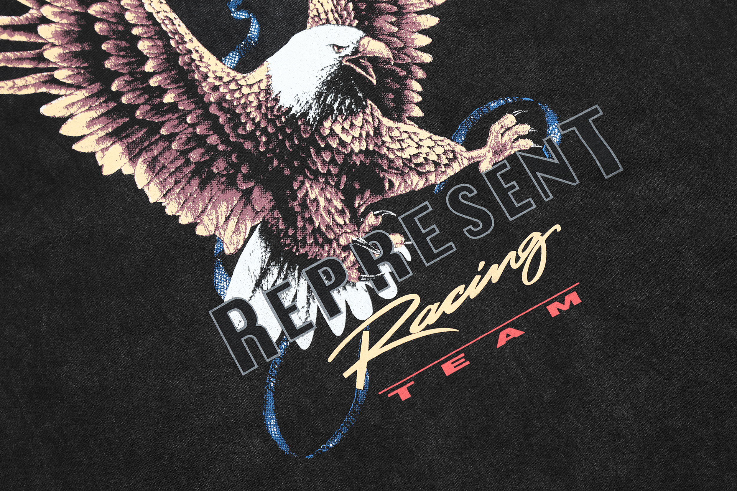 Футболка Represent Eagle Racing Team "Black" фото № 7