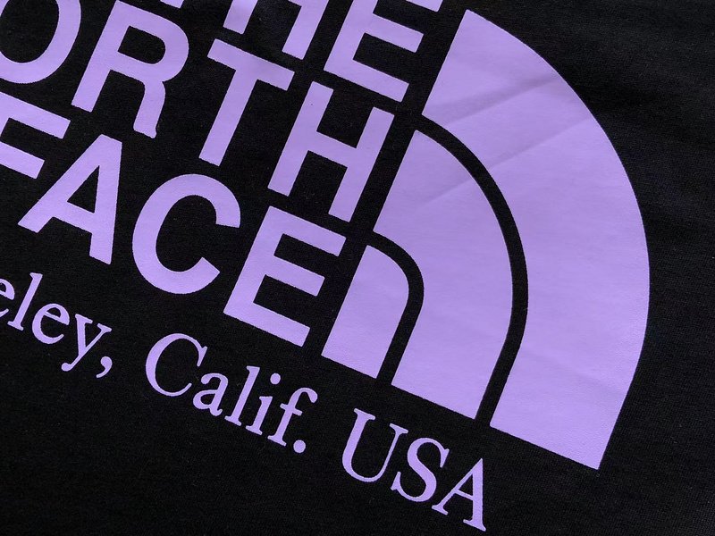 Футболка The North Face Embroidered Front Logo And Logo Inscription Back "Black" фото № 4