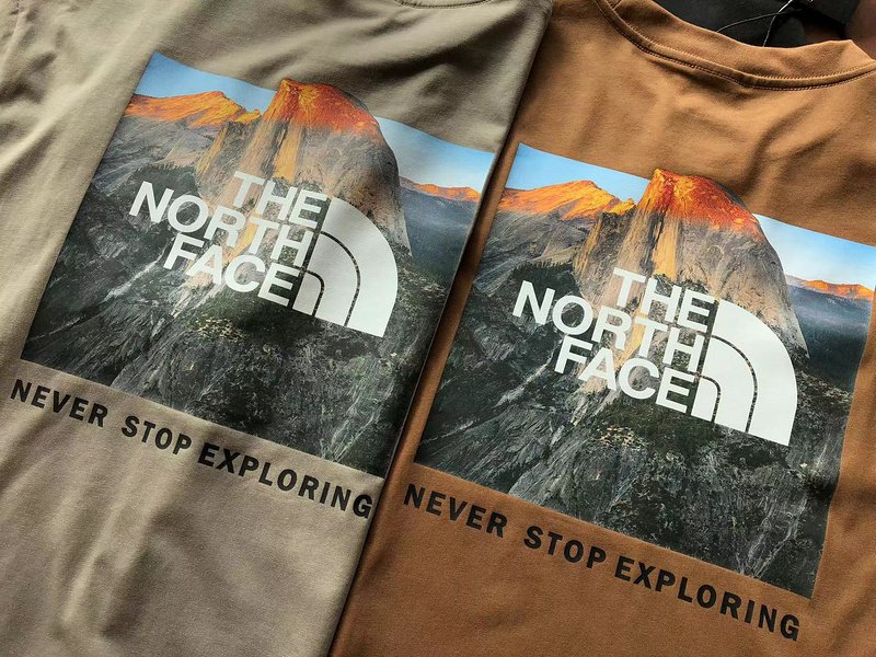 Футболка The North Face Logo Above Mountain View "Brown" фото № 3