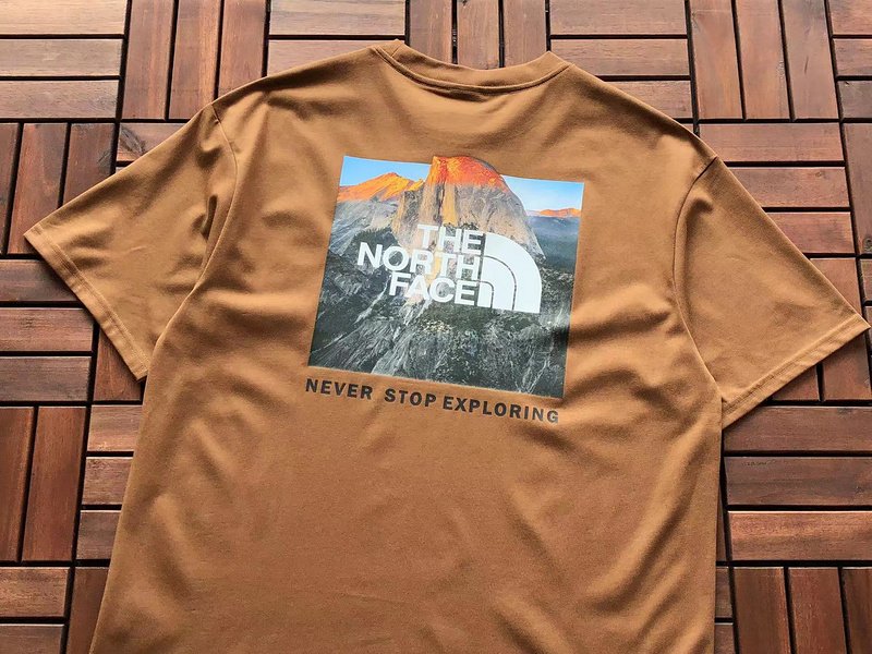 Футболка The North Face Logo Above Mountain View "Brown" фото № 2