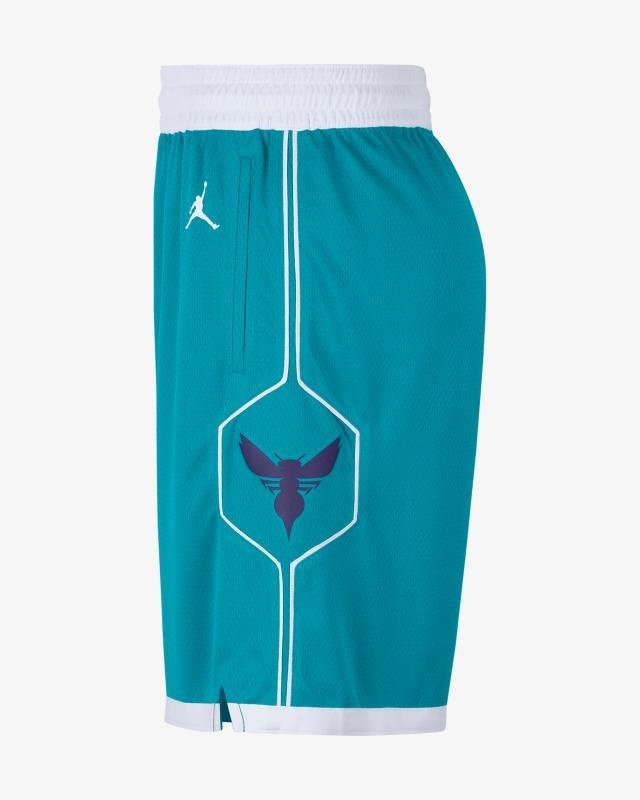 Баскетбольные Шорты NBA Charlotte Hornets 2022 "Turquoise" фото № 2