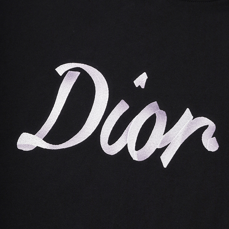 Худи Dior Shining Brand Logo "Black" фото № 4