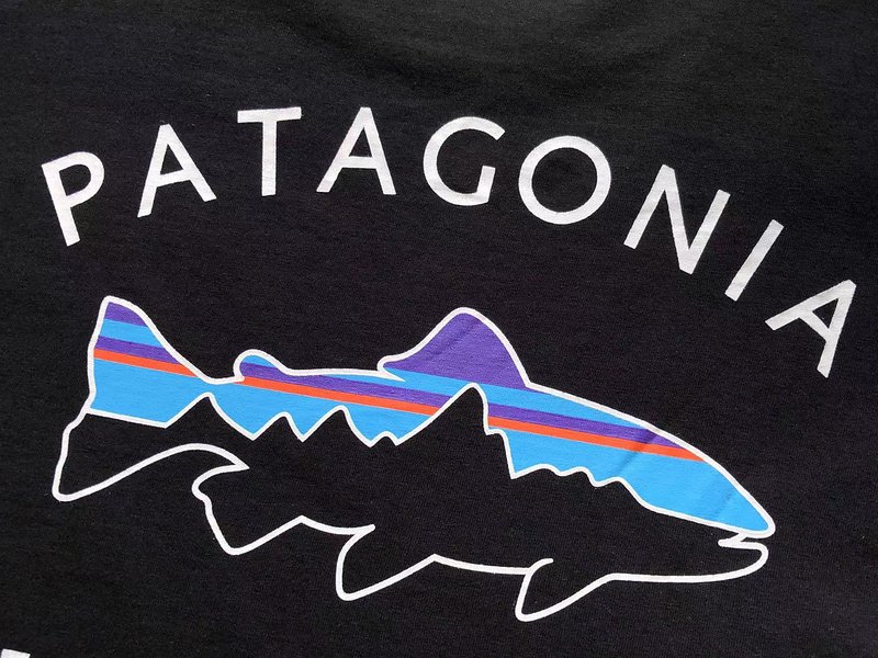 Лонгслив Patagonia Mountain View Inside Fish "Black" фото № 5